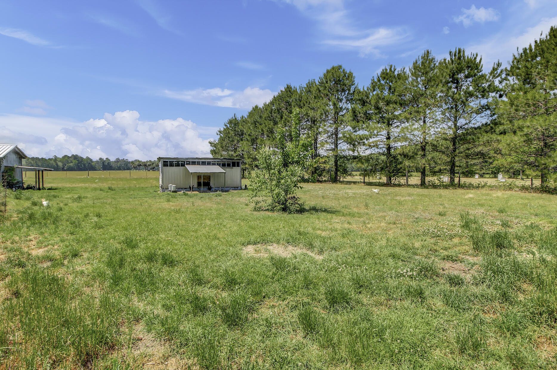 7170 A Bull Run Lane Adams Run, SC 29426 - Photo 33 of 38 7170 Bull Run Ln - Lot 2