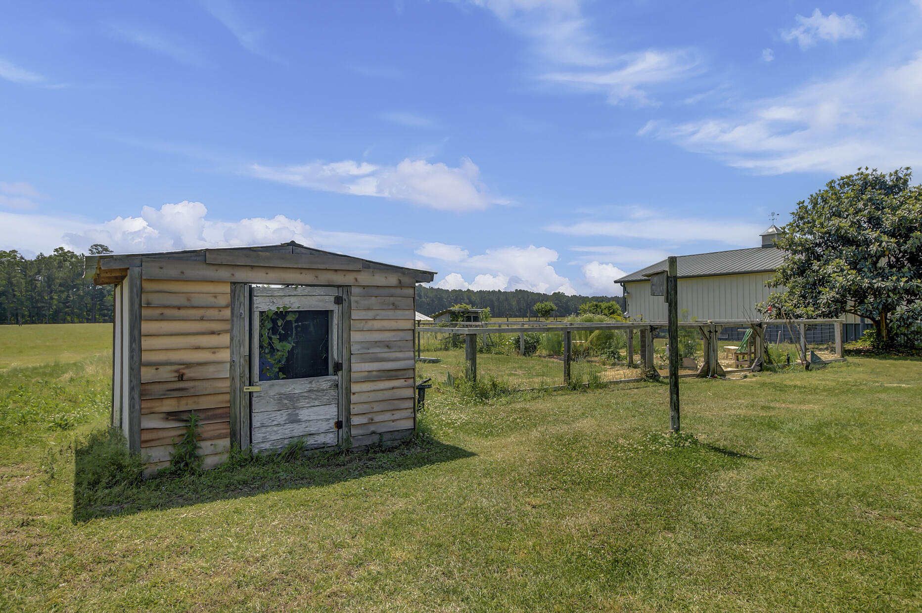 7170 A Bull Run Lane Adams Run, SC 29426 - Photo 34 of 38 7170 Bull Run Ln - Backyard 1