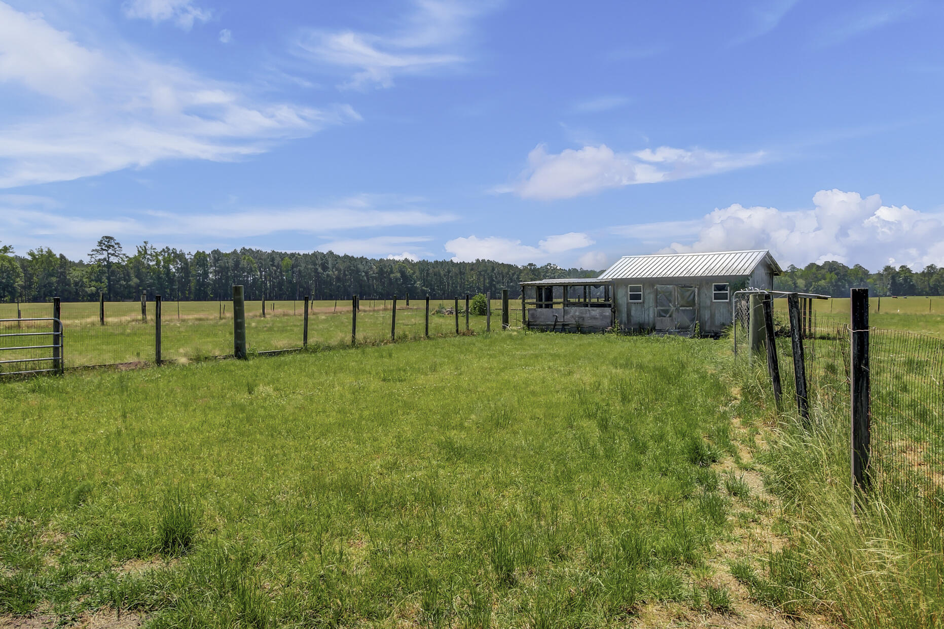 7170 A Bull Run Lane Adams Run, SC 29426 - Photo 35 of 38 7170 Bull Run Ln - Lot 3