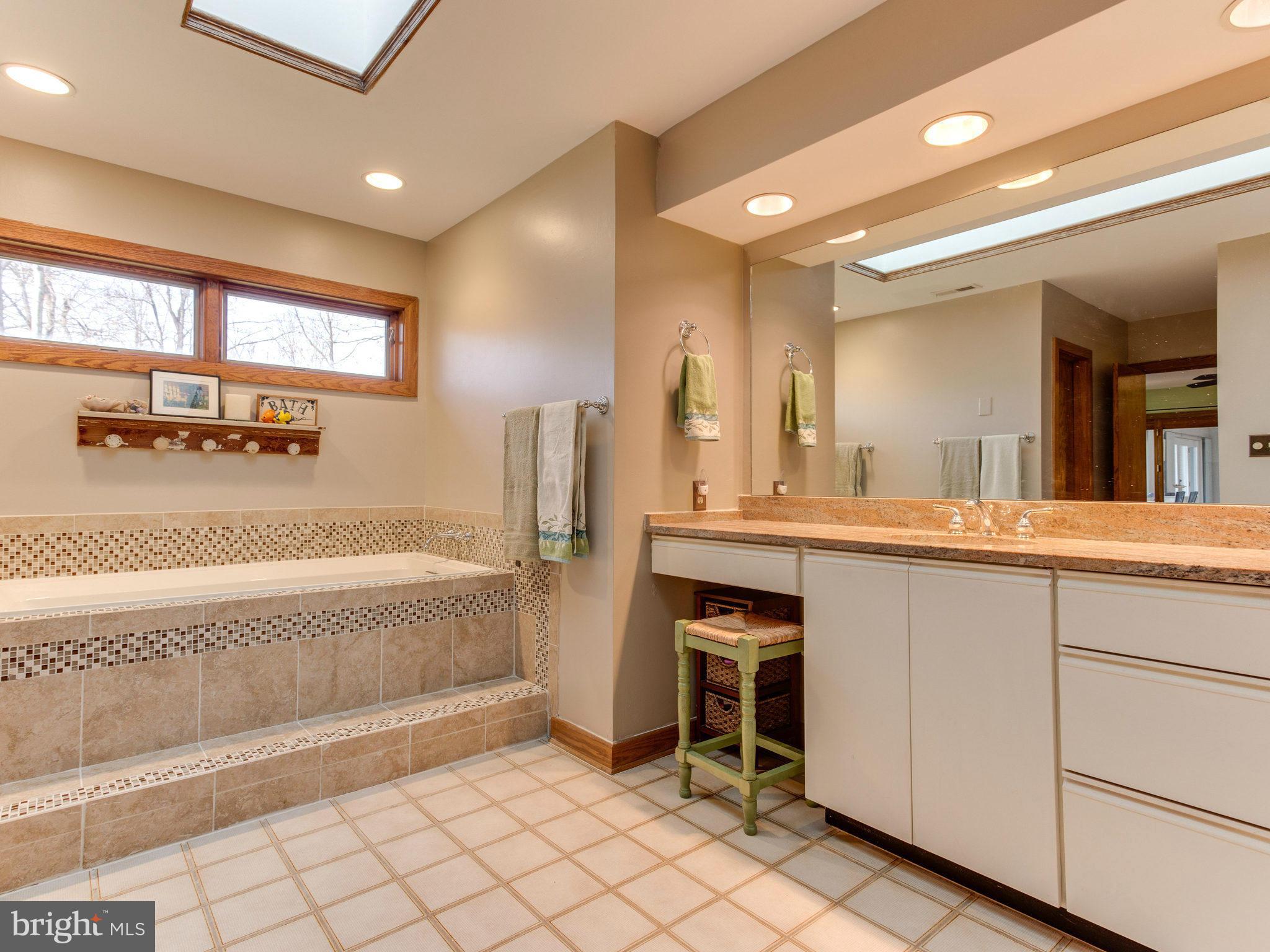 21845 Watson Road Leesburg, VA 20175 - Photo 23 of 30 Bath (Master)