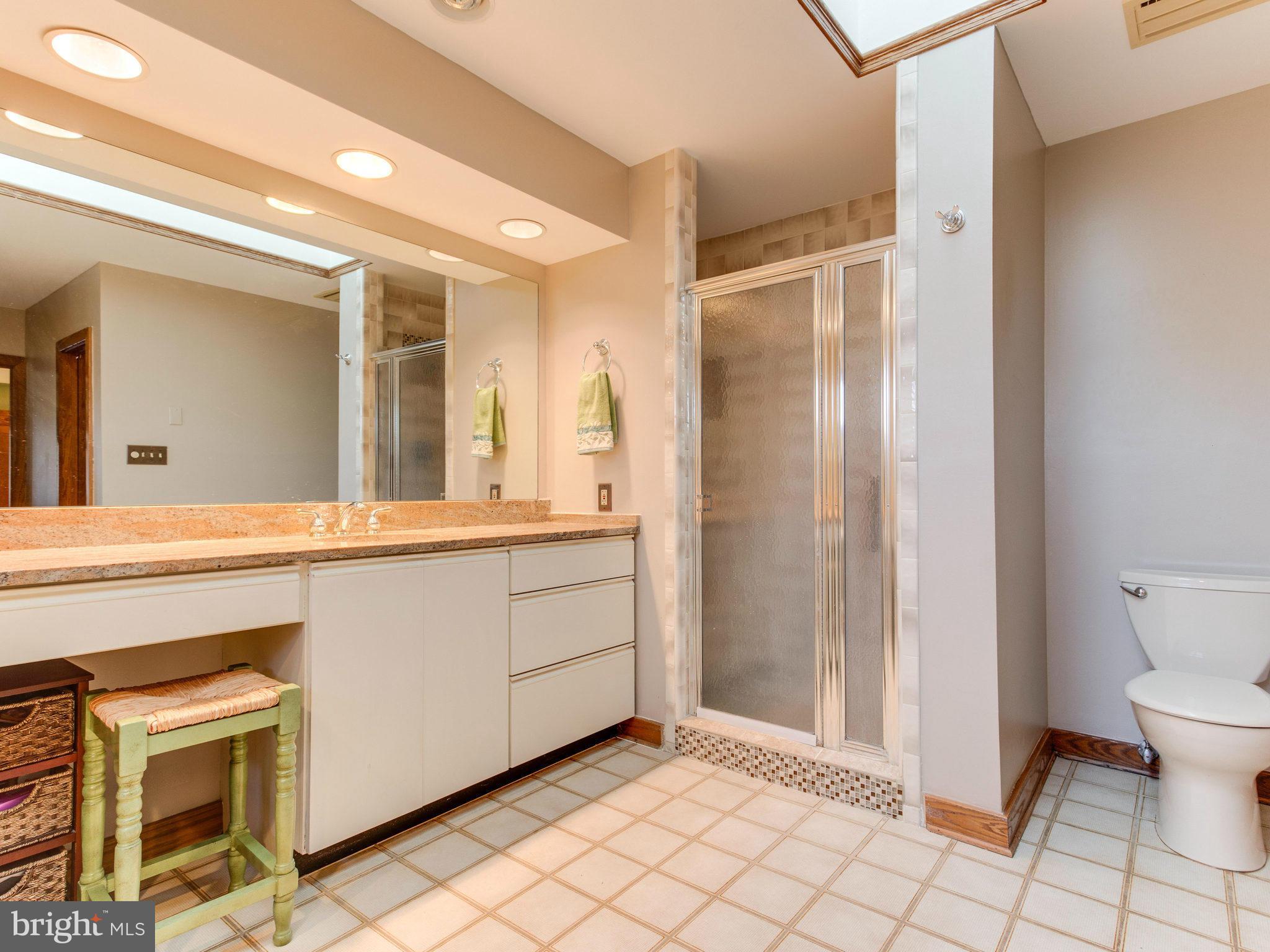 21845 Watson Road Leesburg, VA 20175 - Photo 24 of 30 Bath (Master)