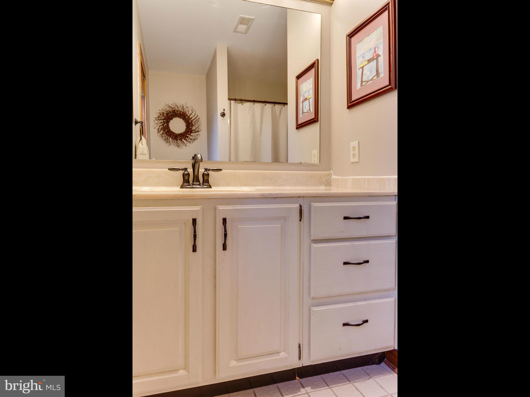 21845 Watson Road Leesburg, VA 20175 - Photo 28 of 30 Bath