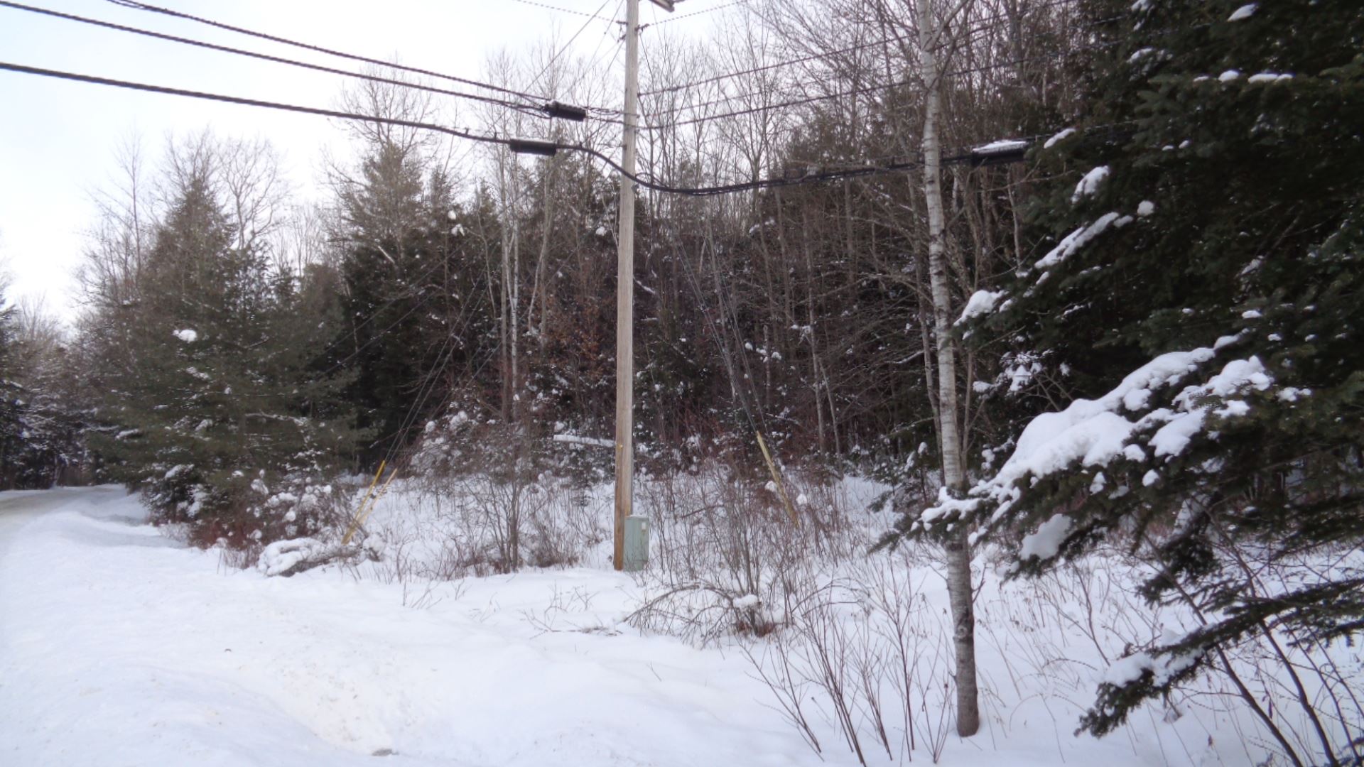 46 Bettis Road Randolph Center, VT 05061 - Photo 5 of 8