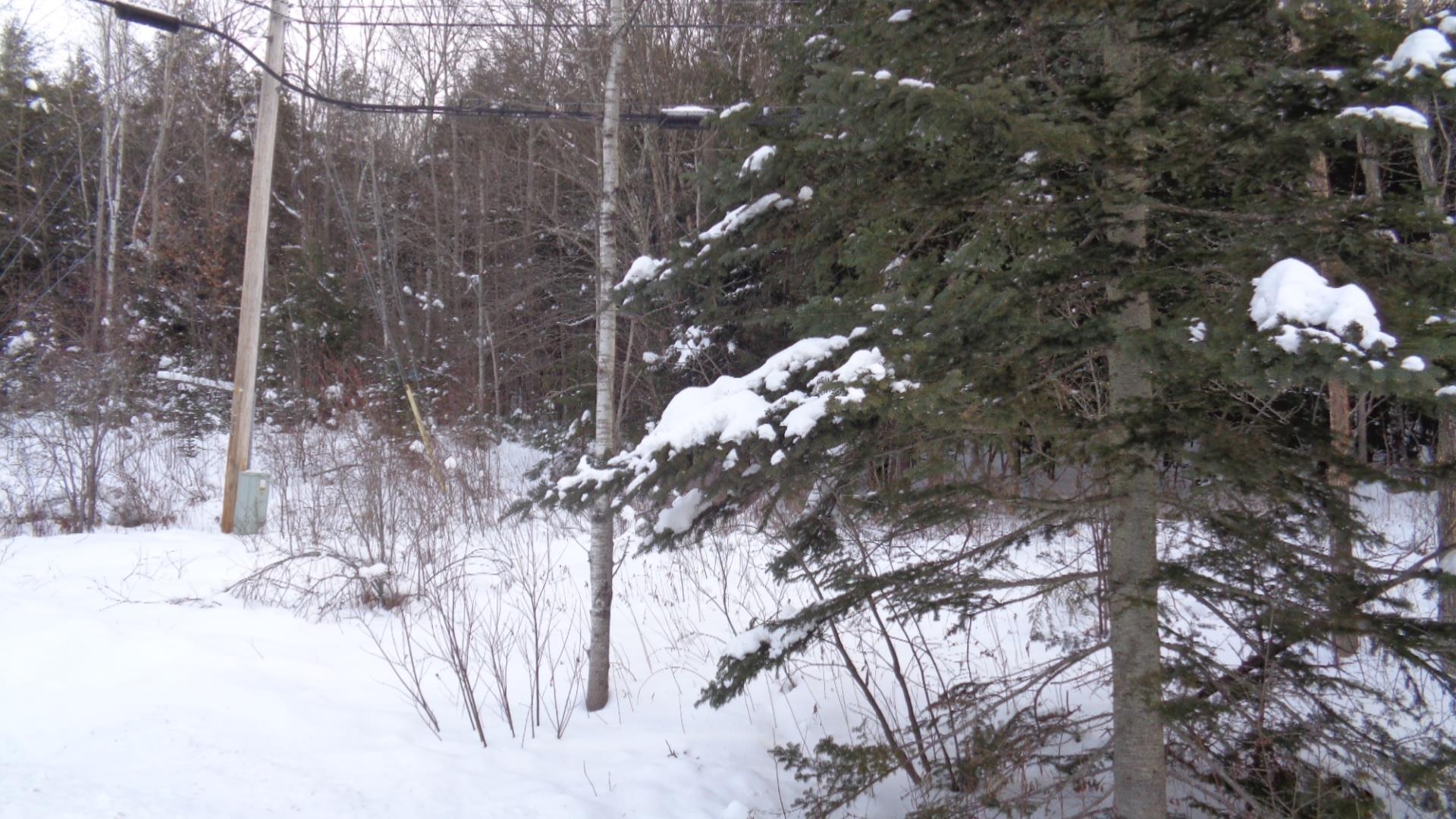 46 Bettis Road Randolph Center, VT 05061 - Photo 6 of 8
