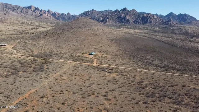 a view of a dry yard
