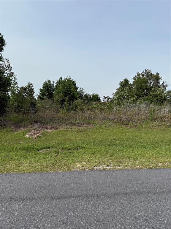 Tbd Southwest 129th Lane Ocala, FL 34473 - Photo 3 of 3