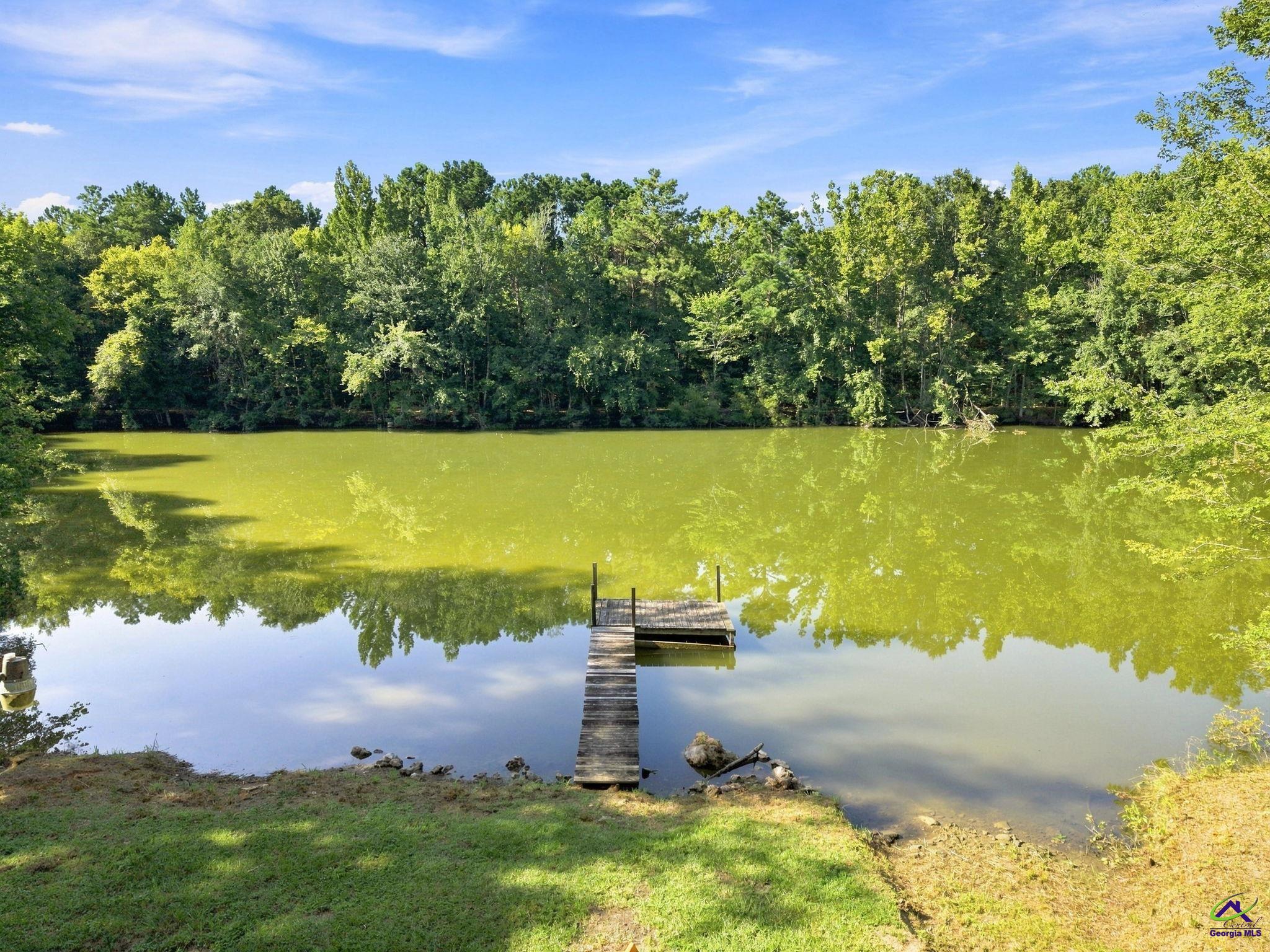 1116 County Line Road Unadilla, GA 31091 - Photo 59 of 66 Gallery Image 59