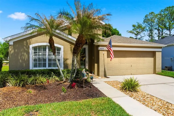 $375,000 | 26645 Sea Hero Circle, Wesley Chapel, FL 33544