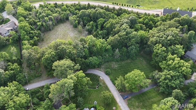 702 Salt Mill Road Chesterfield, MO 63017 - Photo 7 of 8