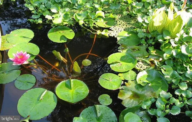 $2,202 | 6006 Hunt Ridge Road, Unit 2522, Baltimore, MD 21210