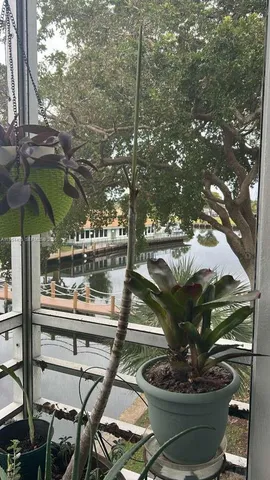 a table and chairs in a patio