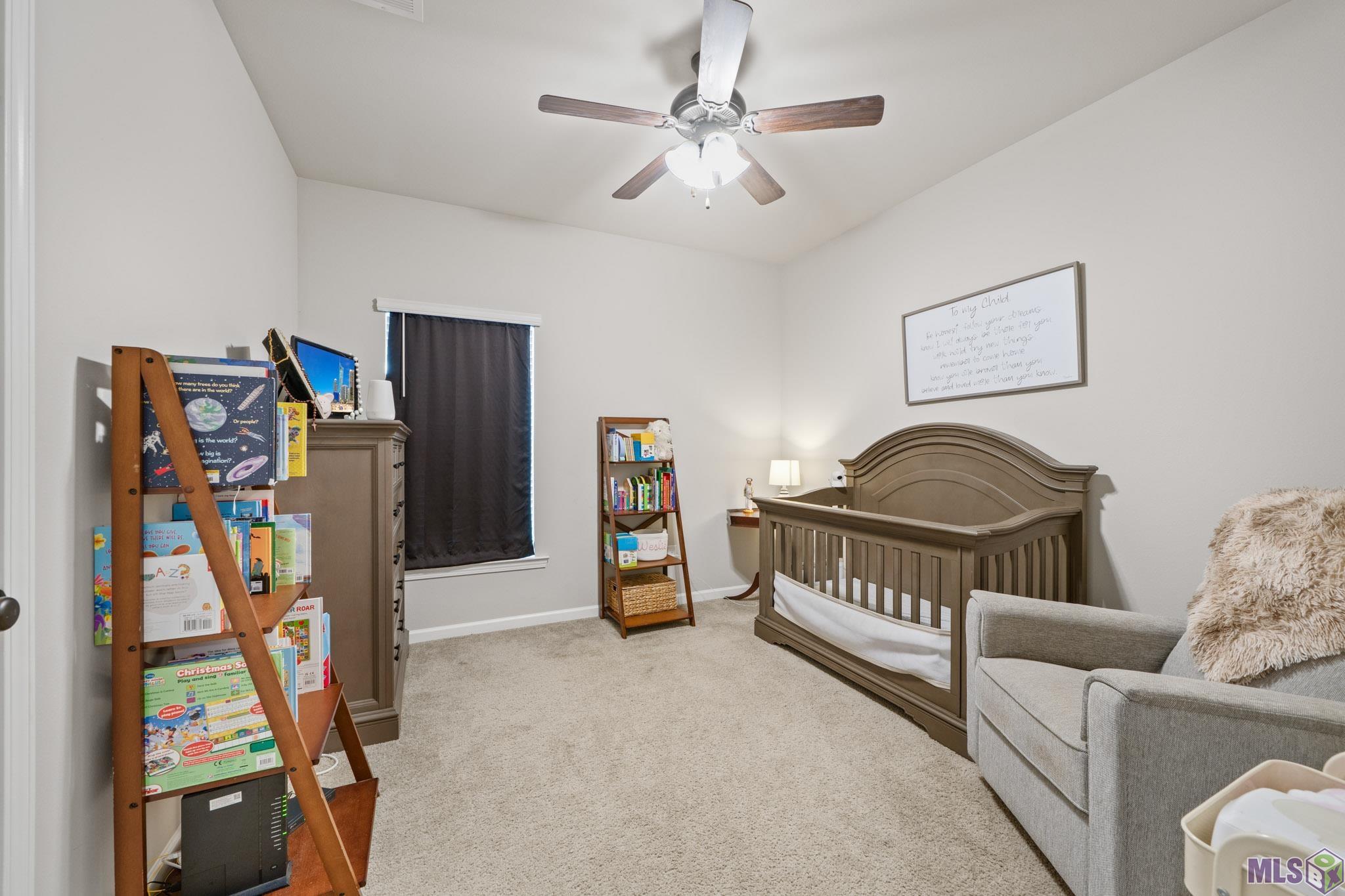 43105 Viewside Avenue Prairieville, LA 70769 - Photo 18 of 27