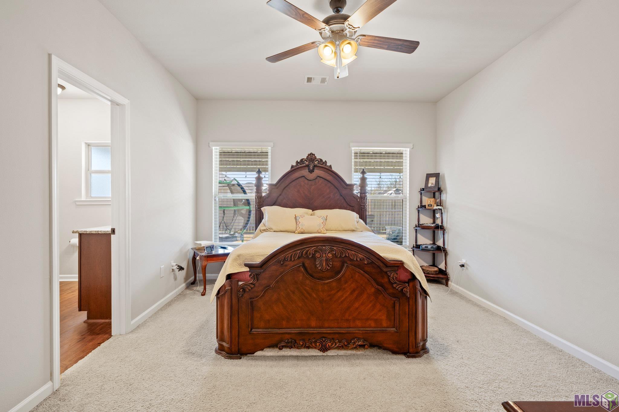 43105 Viewside Avenue Prairieville, LA 70769 - Photo 19 of 27