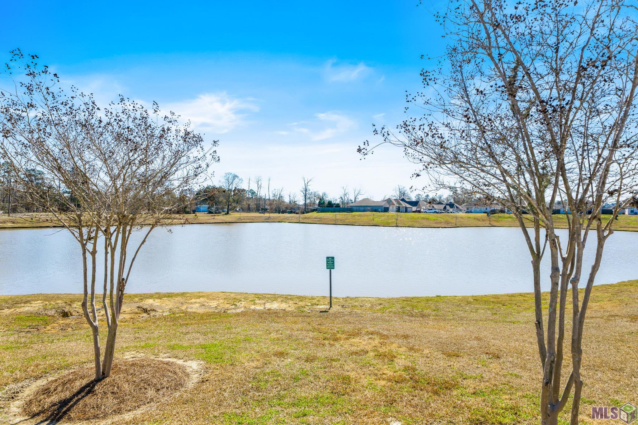 43105 Viewside Avenue Prairieville, LA 70769 - Photo 26 of 27
