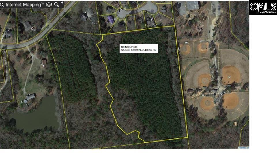 1309 Farming Creek Road Irmo, SC 29063 - Photo 8 of 8