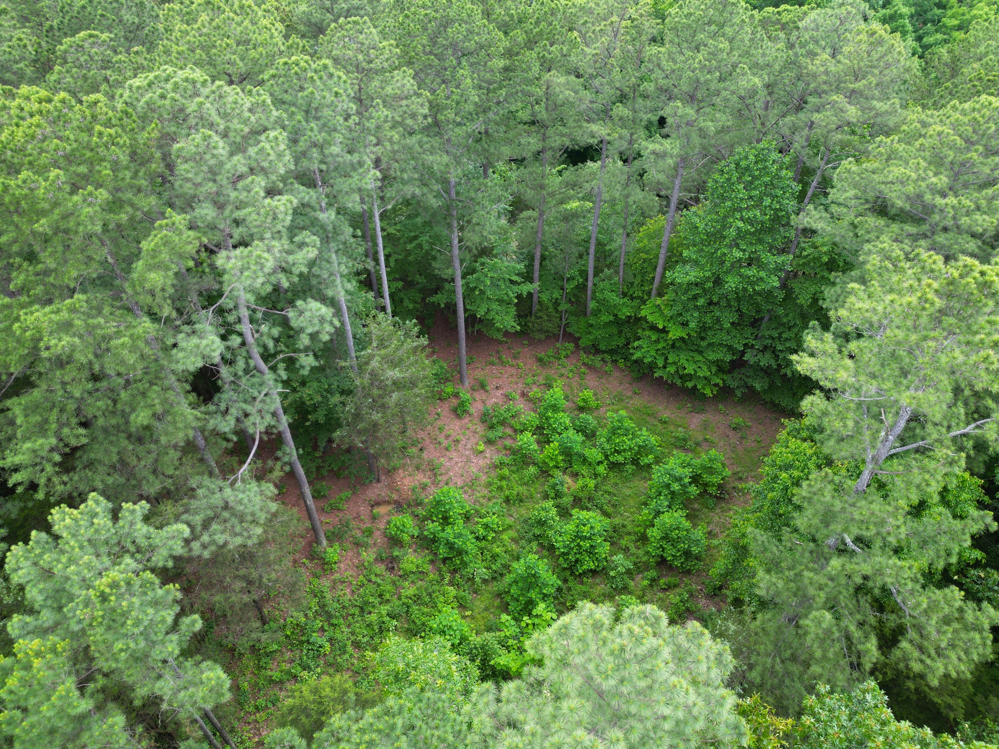 5082 Moorefield Road Cunningham, TN 37052 - Photo 11 of 14 a view of a backyard