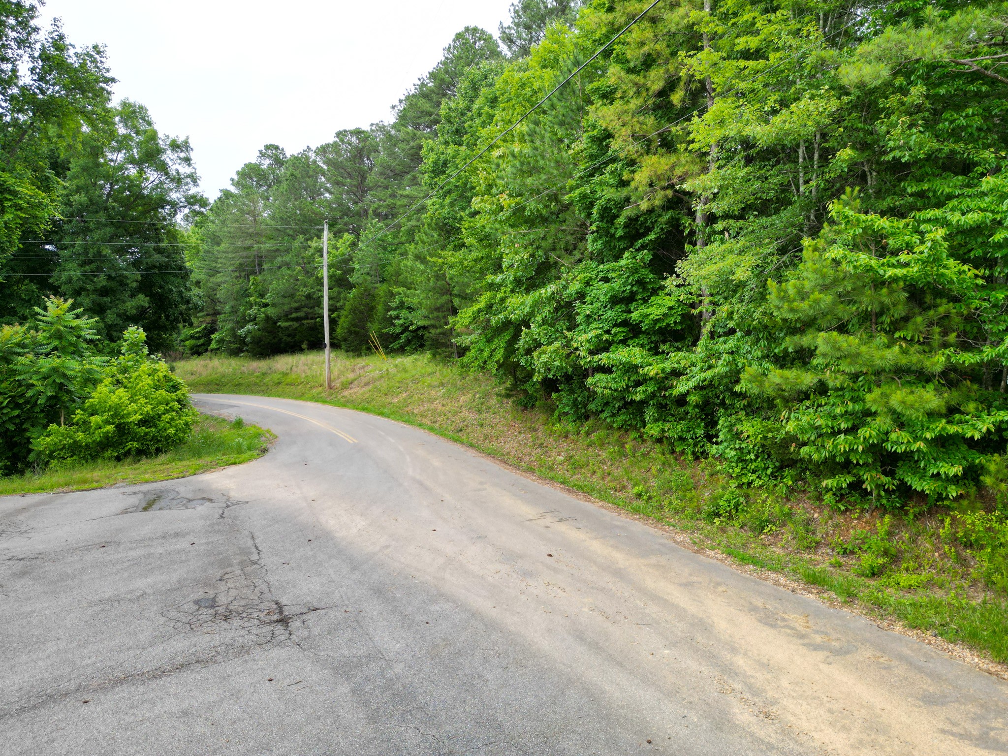 5082 Moorefield Road Cunningham, TN 37052 - Photo 13 of 14 a view of a yard with plants and large trees