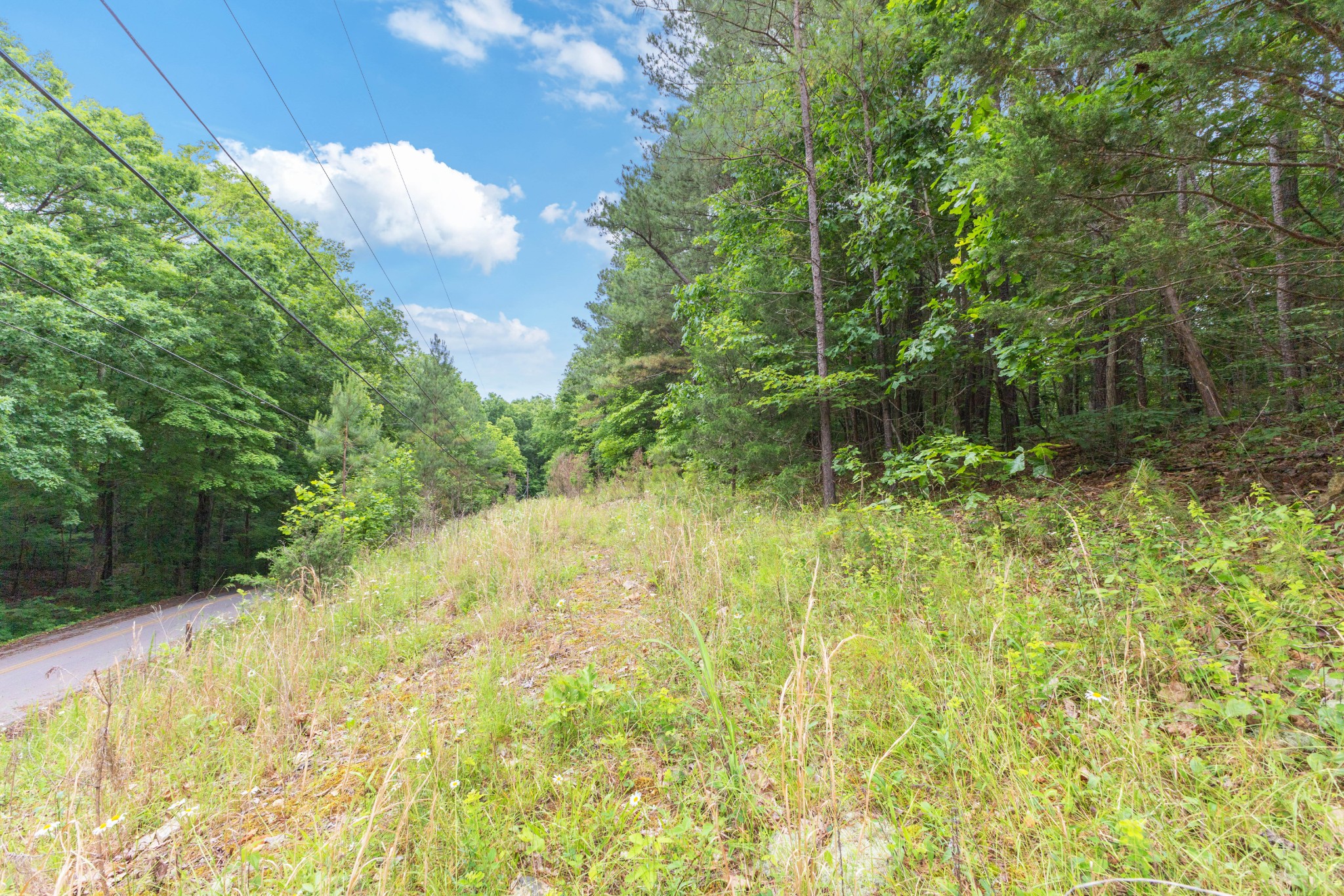 5082 Moorefield Road Cunningham, TN 37052 - Photo 4 of 14 a view of lake view