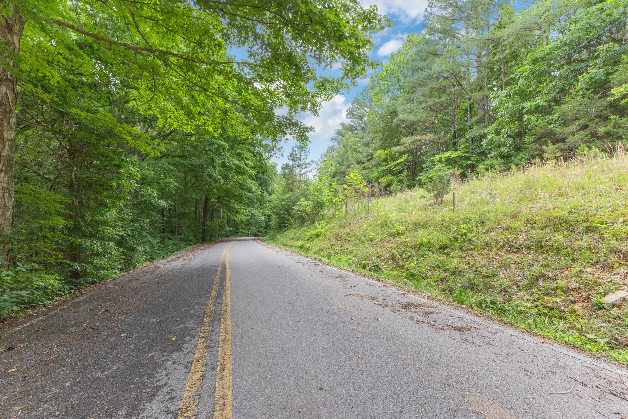 5082 Moorefield Road Cunningham, TN 37052 - Photo 5 of 14 a view of a road from a yard