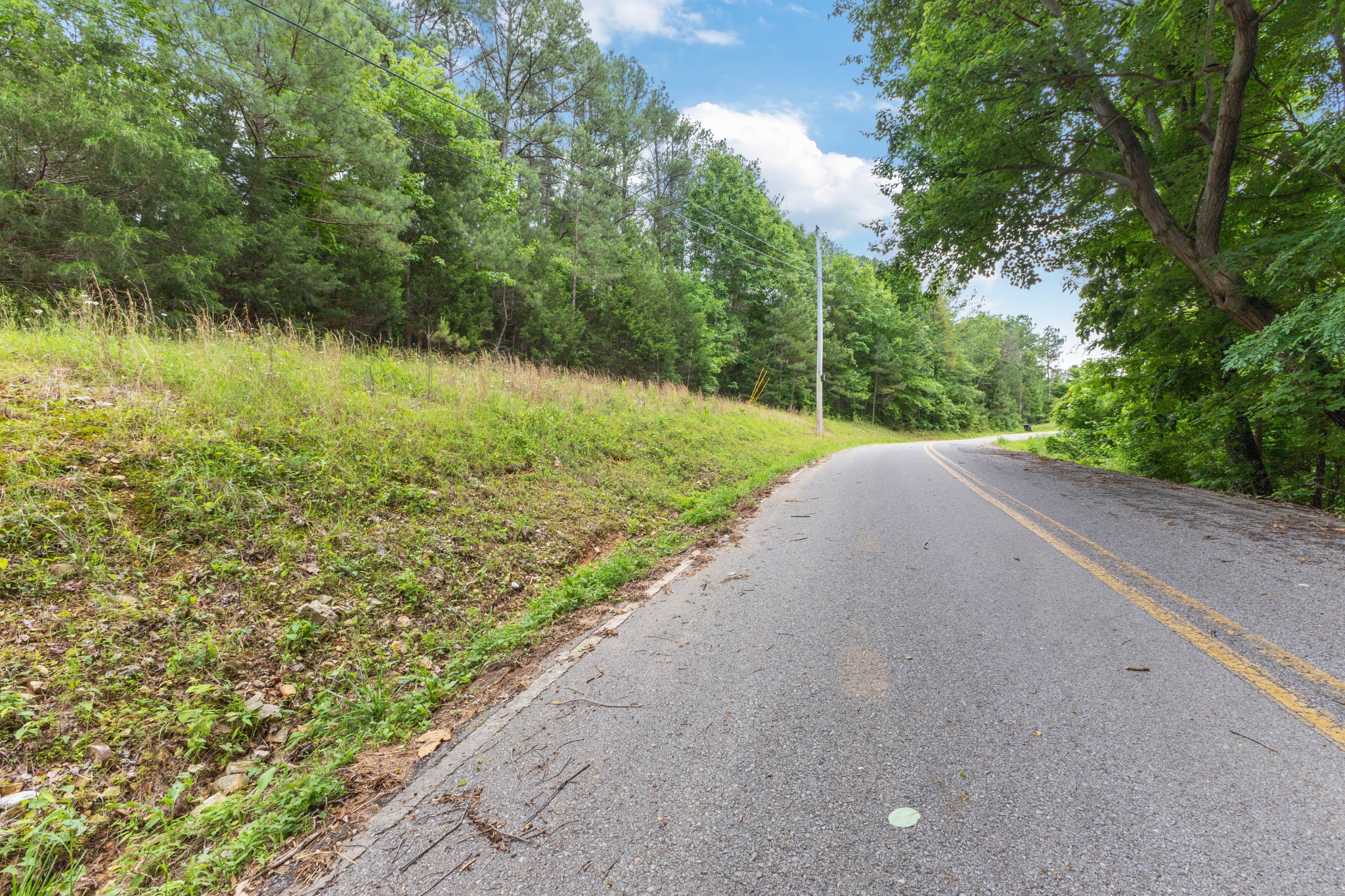 5082 Moorefield Road Cunningham, TN 37052 - Photo 6 of 14 a view of a yard with a fountain