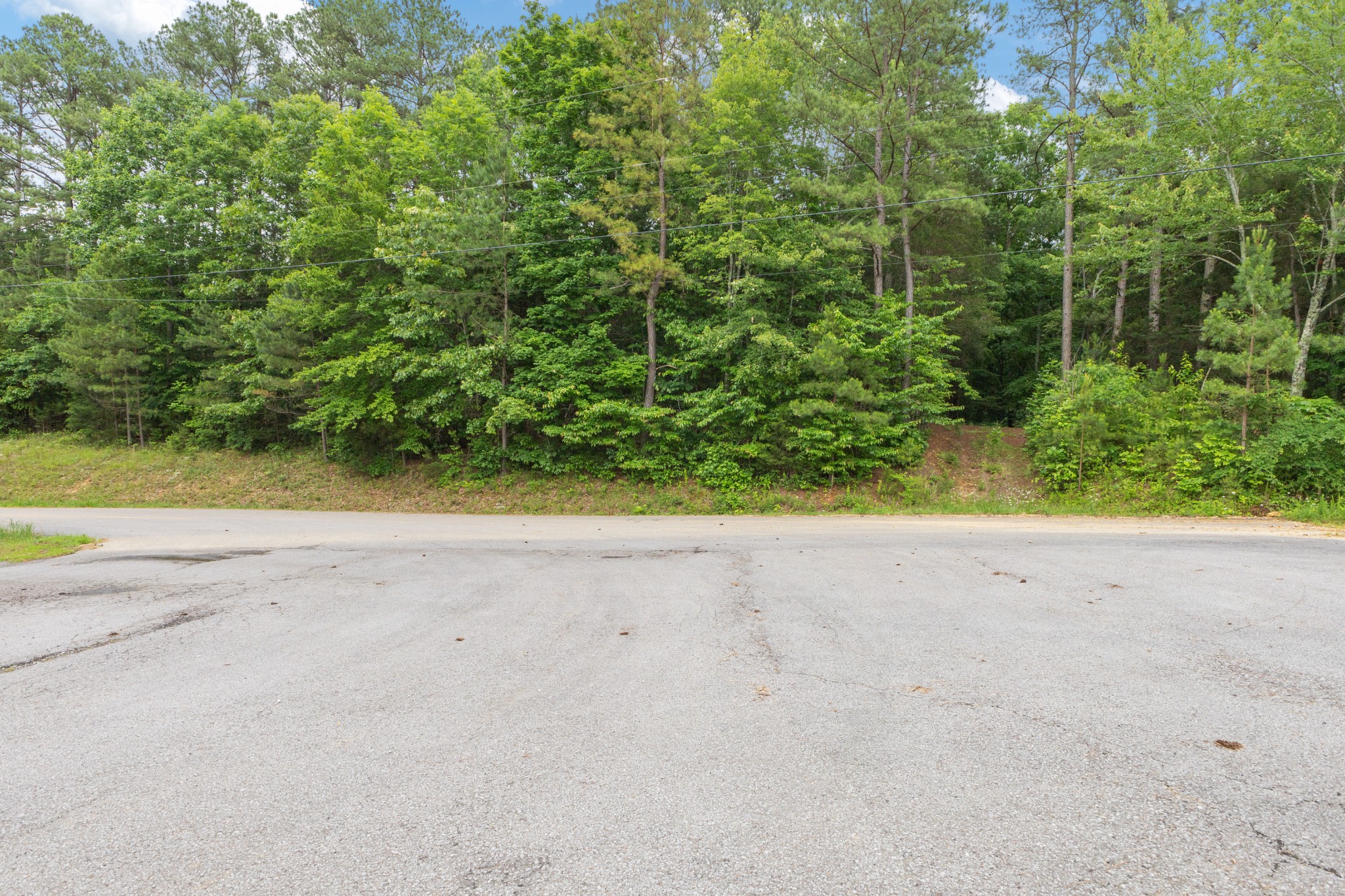 5082 Moorefield Road Cunningham, TN 37052 - Photo 7 of 14 a view of a garden with plants and trees