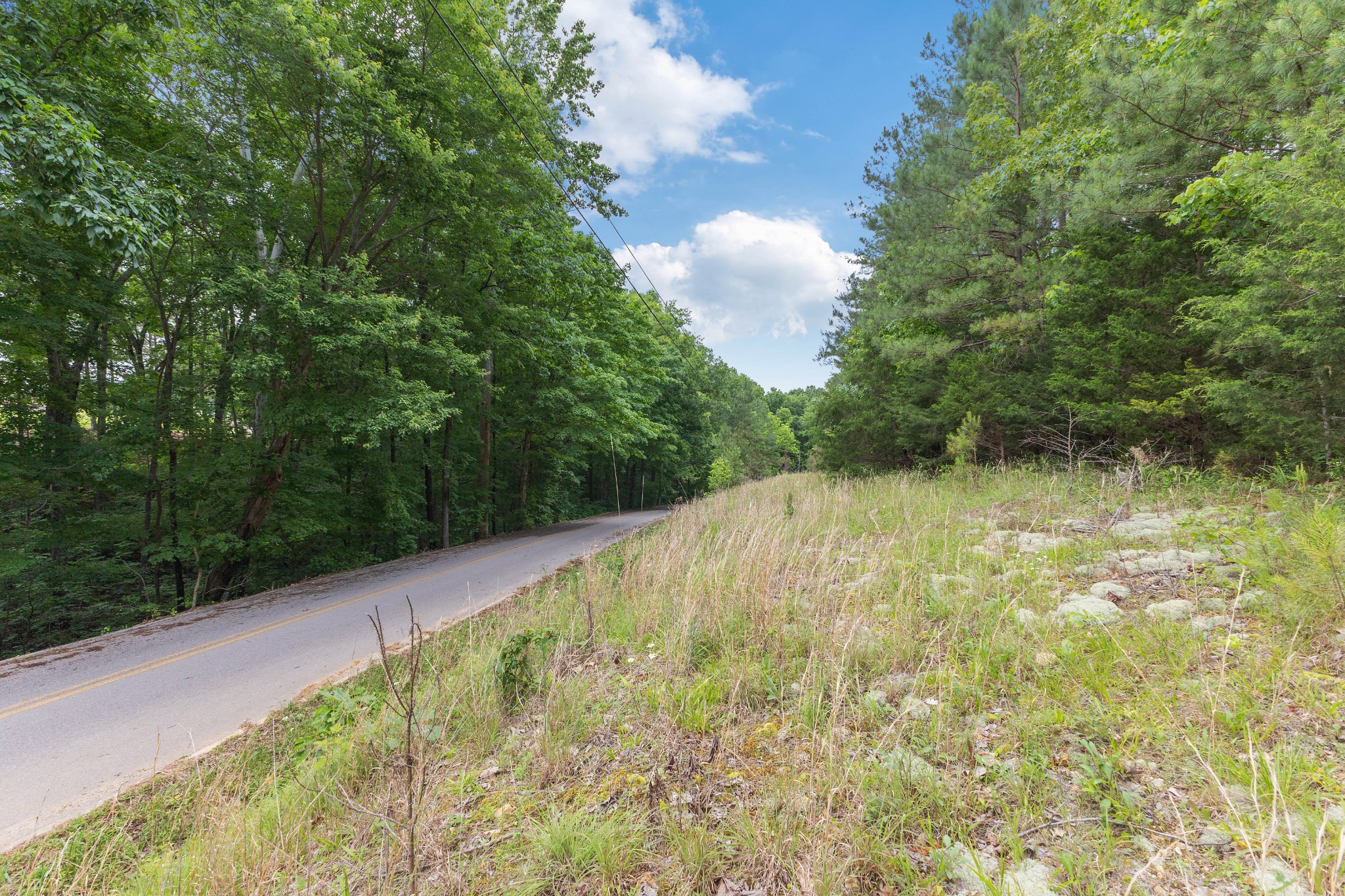 5082 Moorefield Road Cunningham, TN 37052 - Photo 9 of 14 a view of a backyard