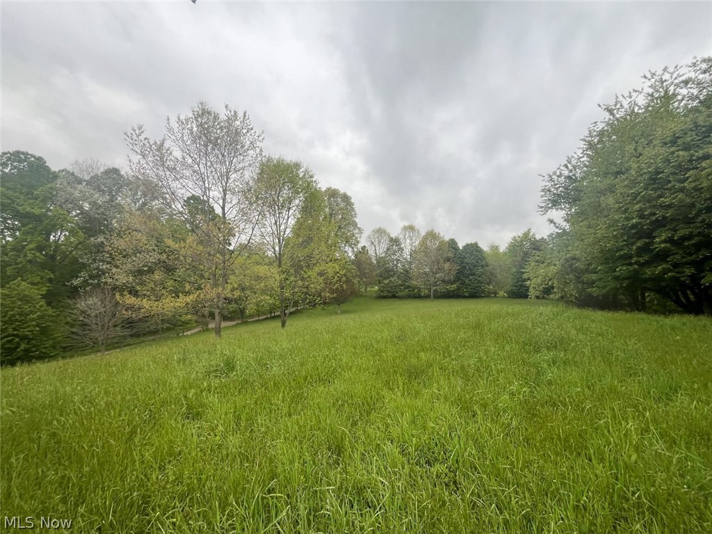 87085 Crall Road Scio, OH 43988 - Photo 10 of 17
