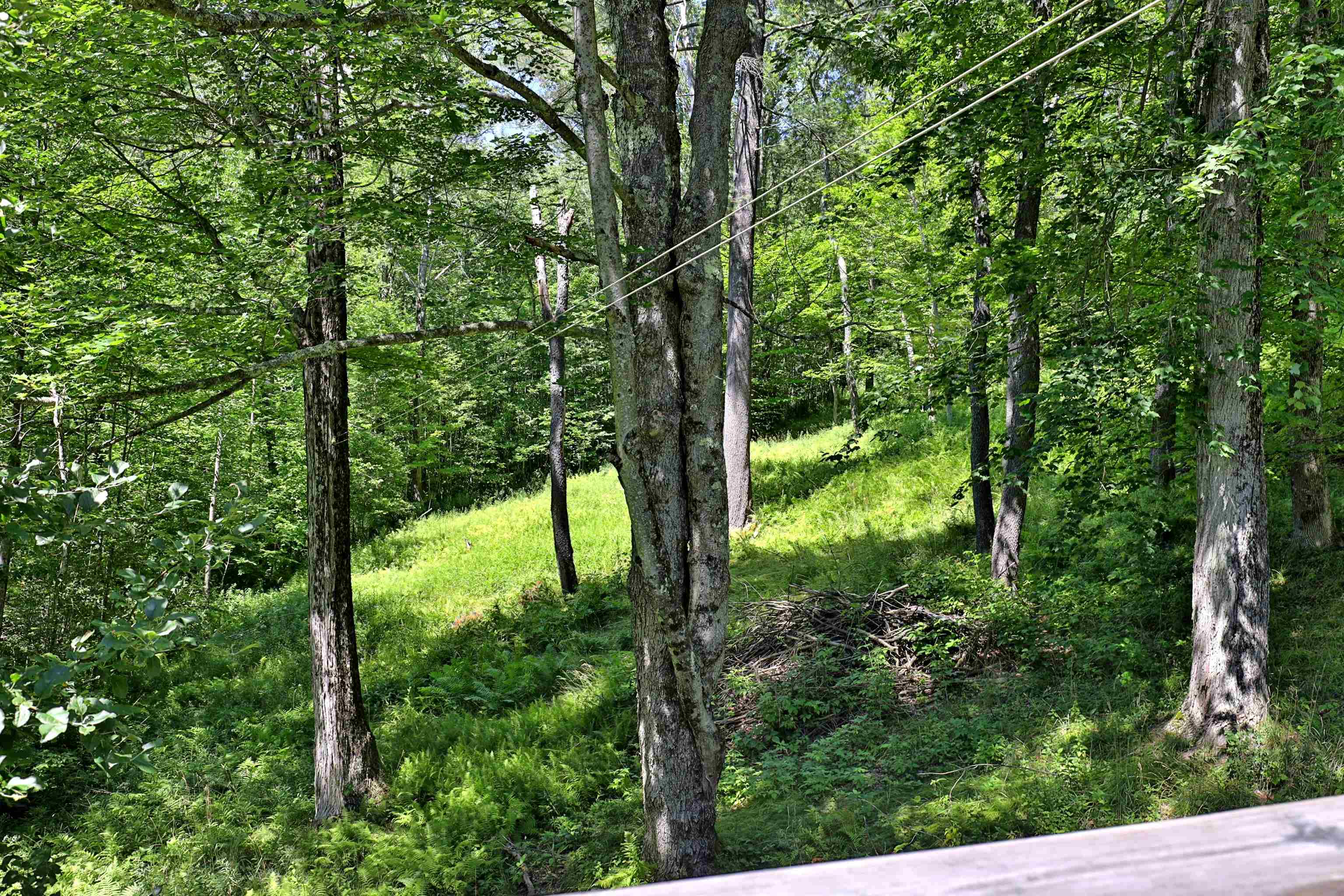 571 Wing Farm Road Rochester, VT 05767 - Photo 12 of 36