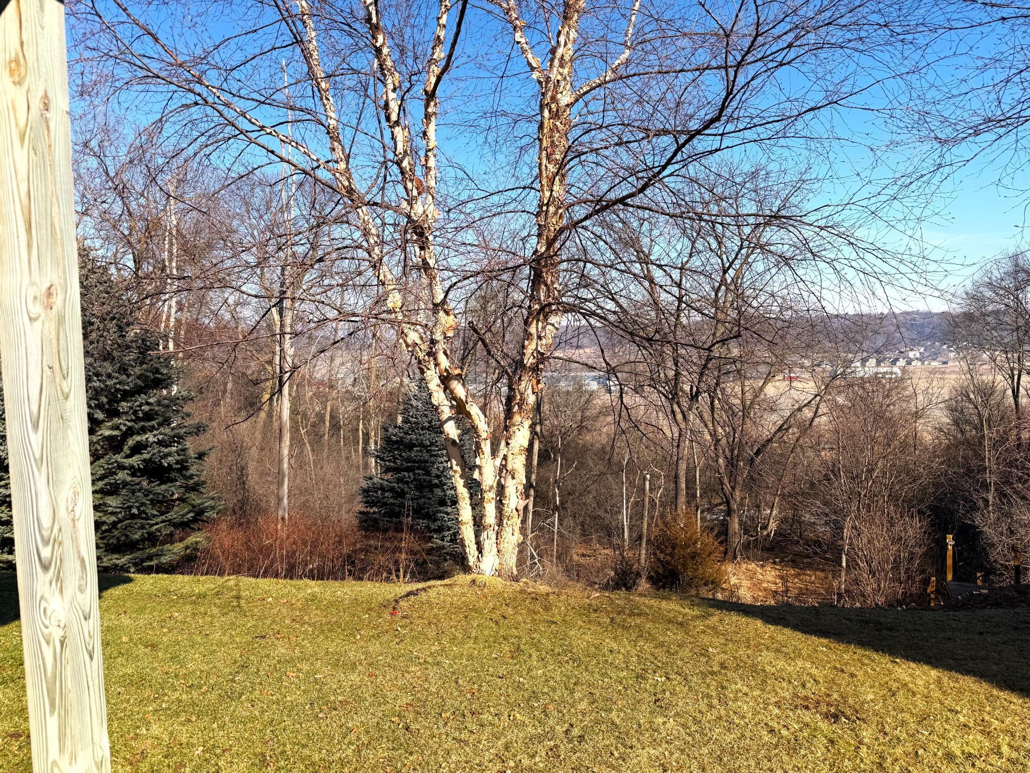 4029 Stone Point Drive Northeast Rochester, MN 55906 - Photo 15 of 16