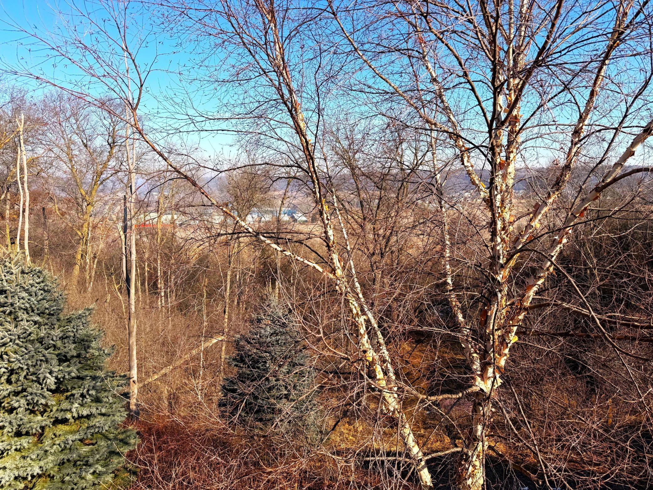 4029 Stone Point Drive Northeast Rochester, MN 55906 - Photo 16 of 16