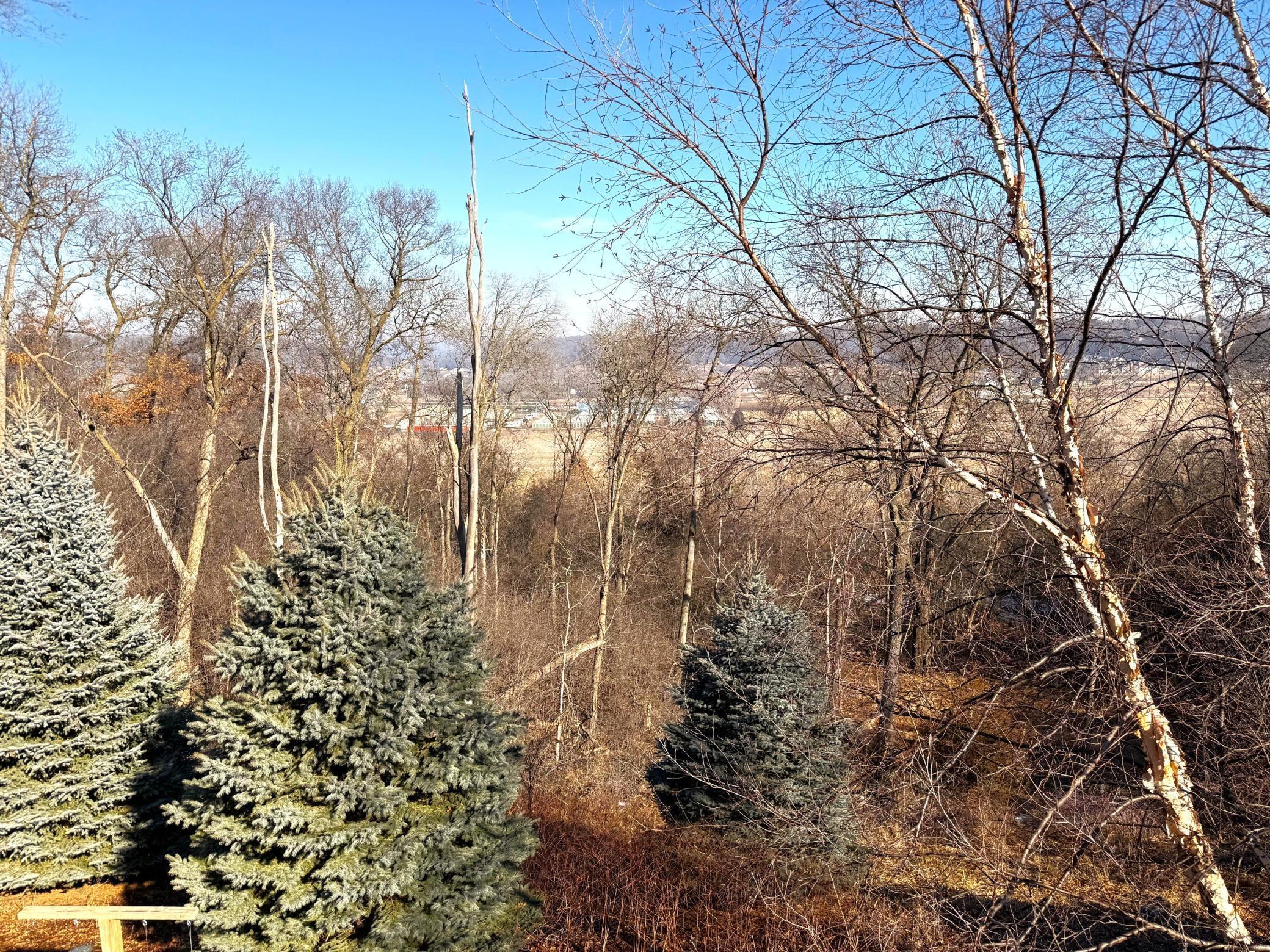 4029 Stone Point Drive Northeast Rochester, MN 55906 - Photo 3 of 16