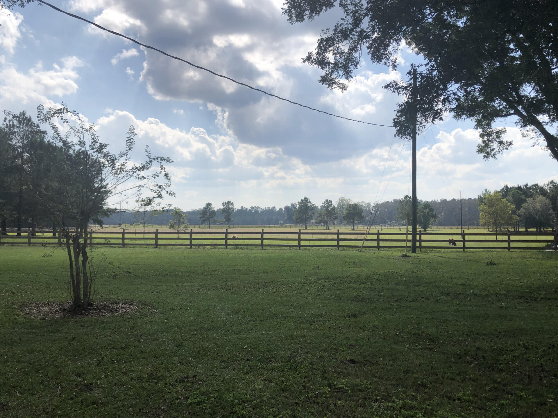 307 Winding Brook Drive Cameron, SC 29030 - Photo 5 of 30 307WindingBrookDr_19905_5