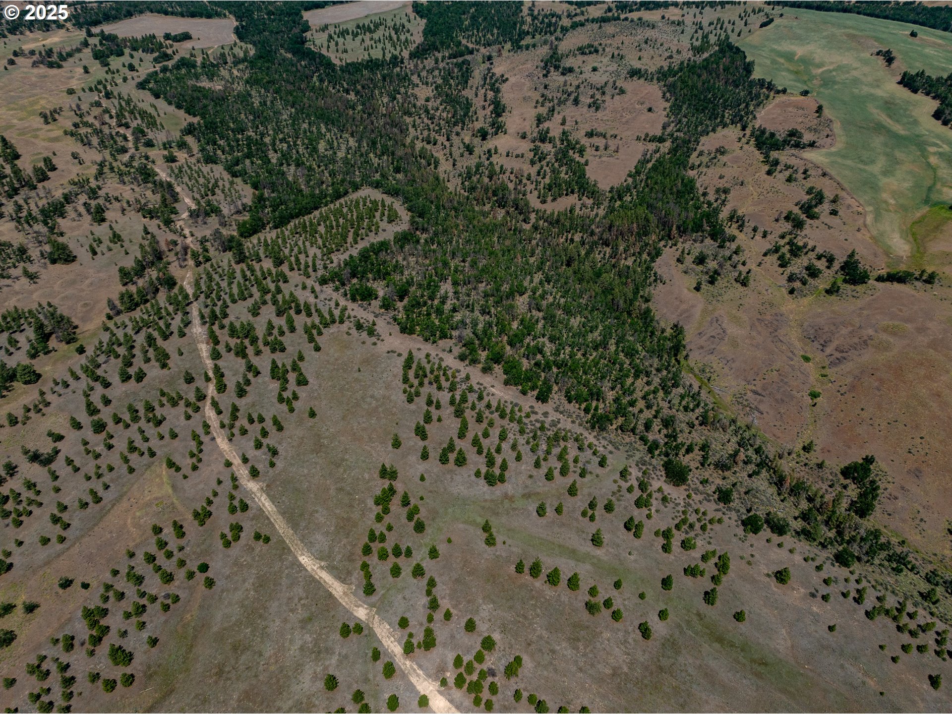 Friend Road Dufur, OR 97021 - Photo 13 of 32 view of a dry yard with lots of green space