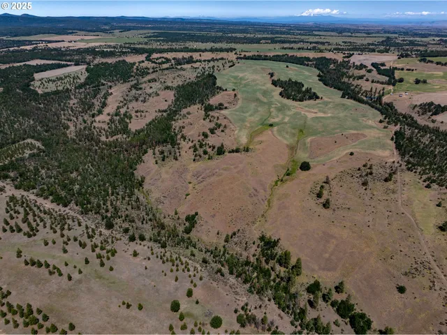 a view of a beach with a yard