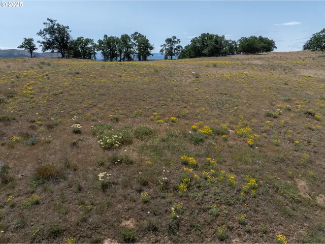 a view of a field with trees in the background