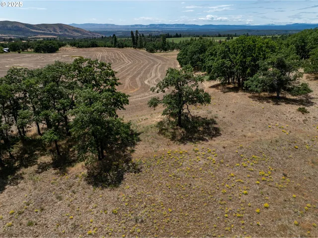 a view of a lake with a field
