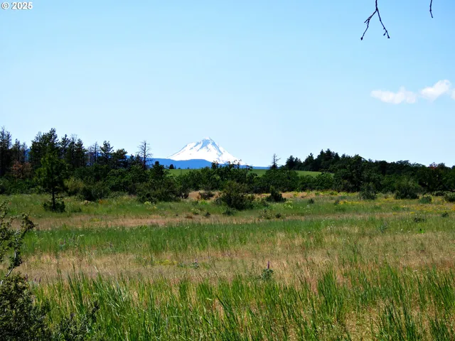 a view of a lake with a yard
