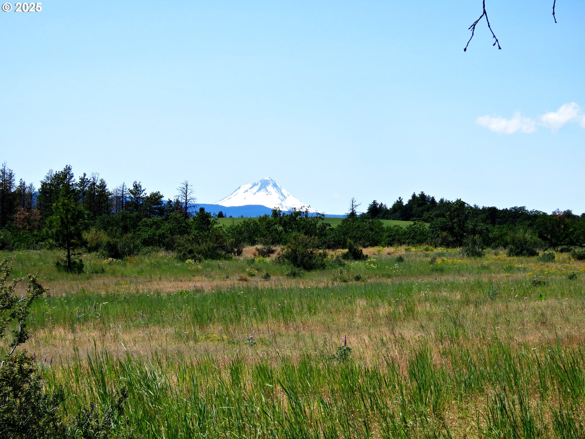 Friend Road Dufur, OR 97021 - Photo 19 of 32 a view of a lake with a yard