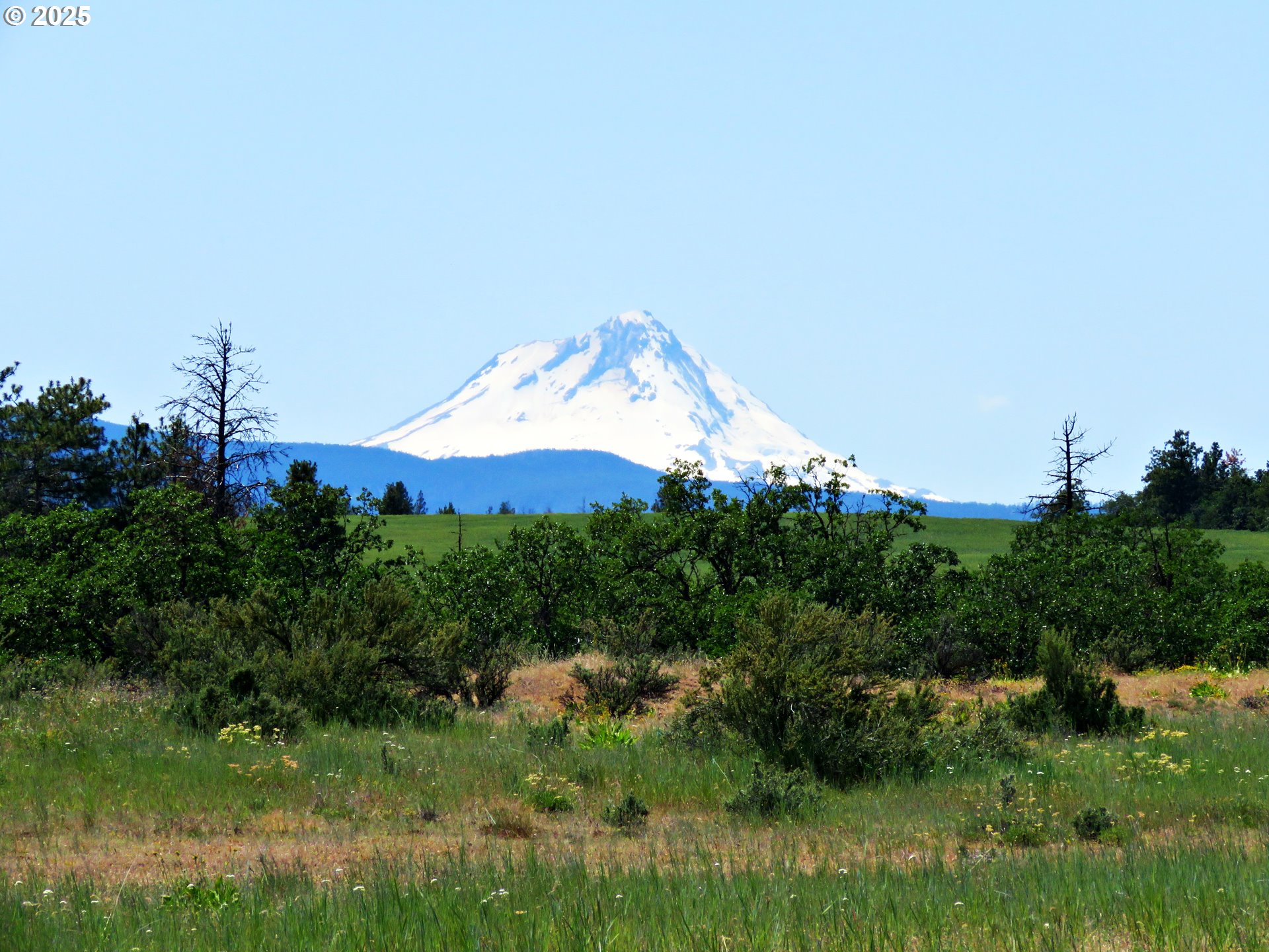 Friend Road Dufur, OR 97021 - Photo 20 of 32 a view of a garden from a lake