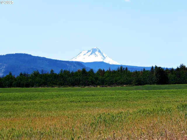 a view of a grassy area with an ocean