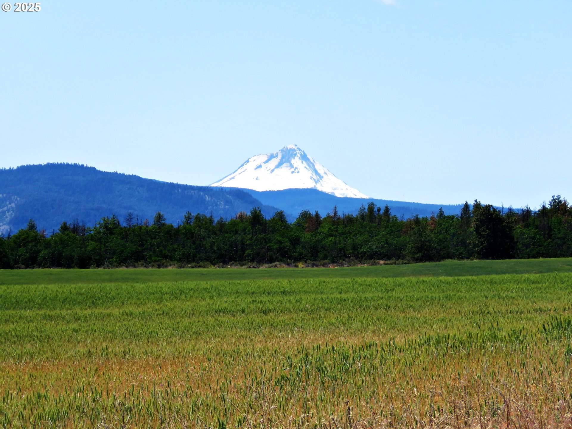 Friend Road Dufur, OR 97021 - Photo 21 of 32 a view of a grassy area with an ocean