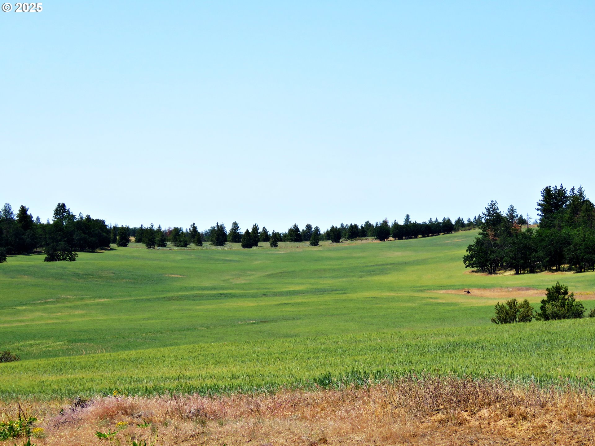 Friend Road Dufur, OR 97021 - Photo 22 of 32 a view of a grassy field with ocean