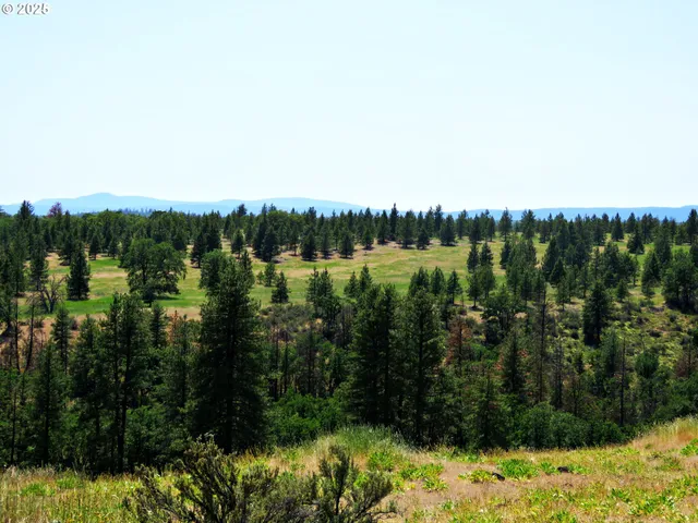 a view of lake and mountain