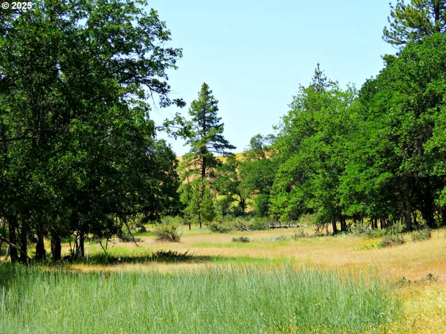 a view of an outdoor space and a yard