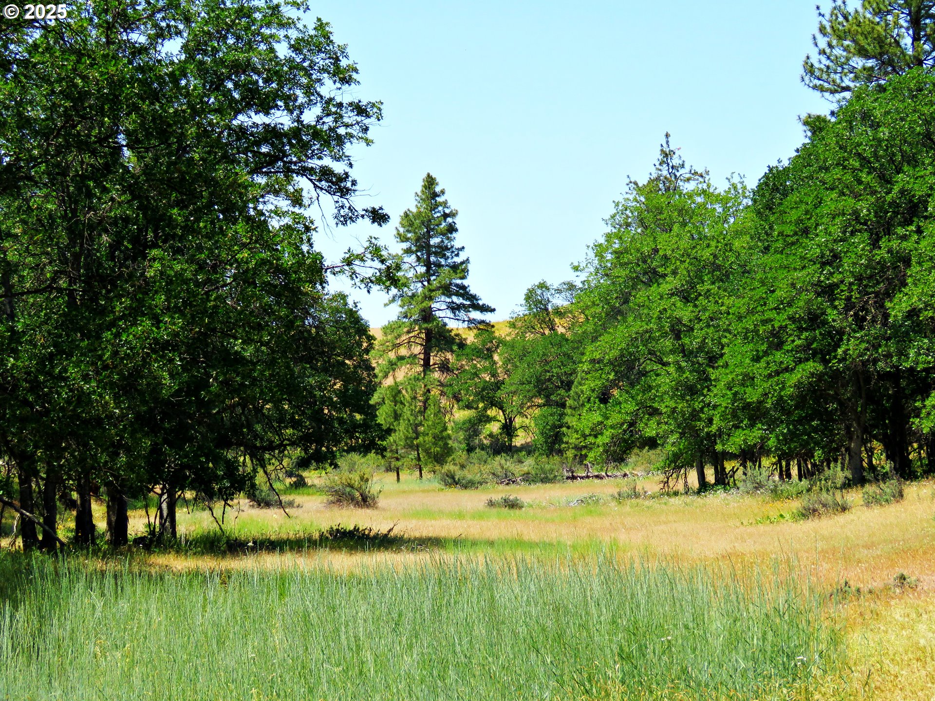 Friend Road Dufur, OR 97021 - Photo 27 of 32 a view of an outdoor space and a yard