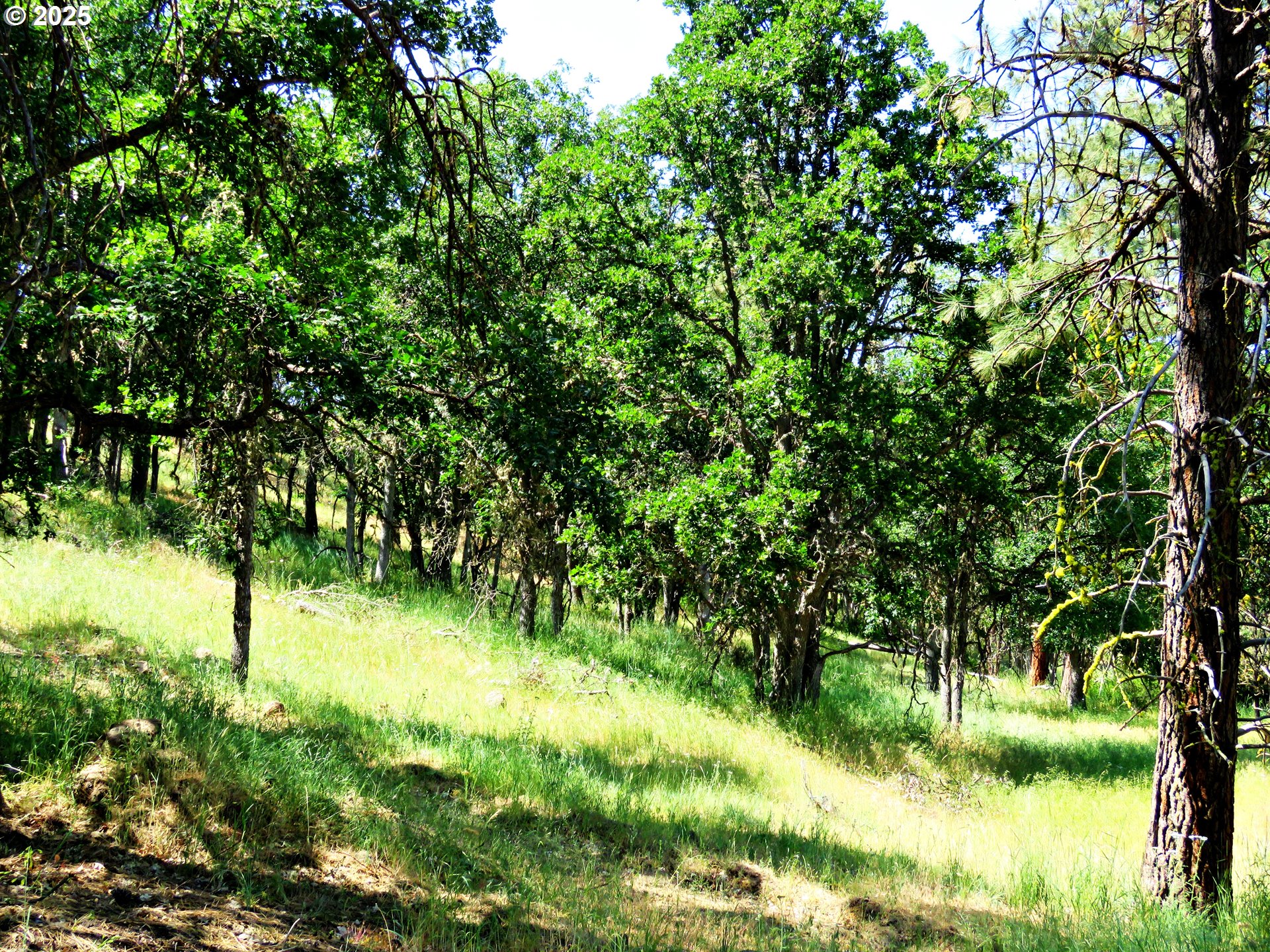 Friend Road Dufur, OR 97021 - Photo 28 of 32 a view of swimming pool from a yard