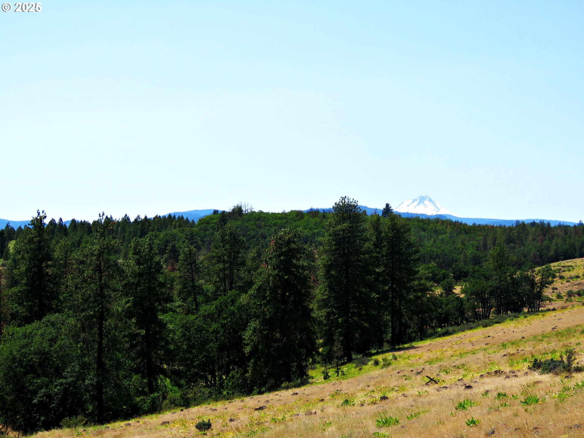Friend Road Dufur, OR 97021 - Photo 30 of 32 a view of a yard