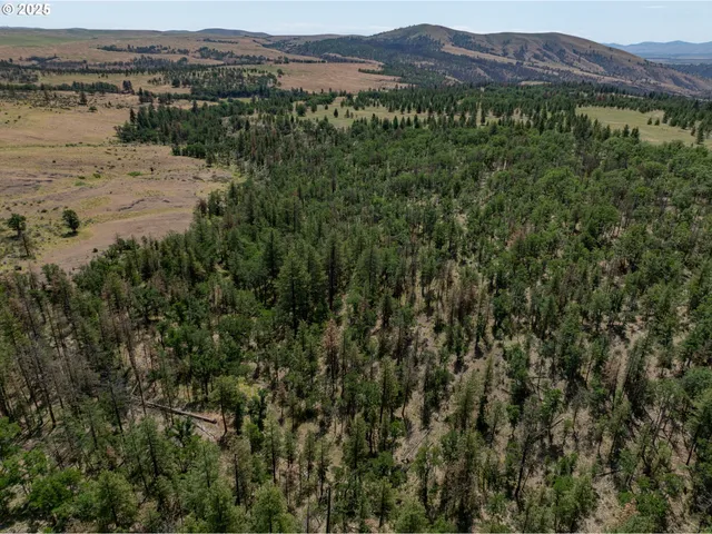 a view of a lake with mountains in the background