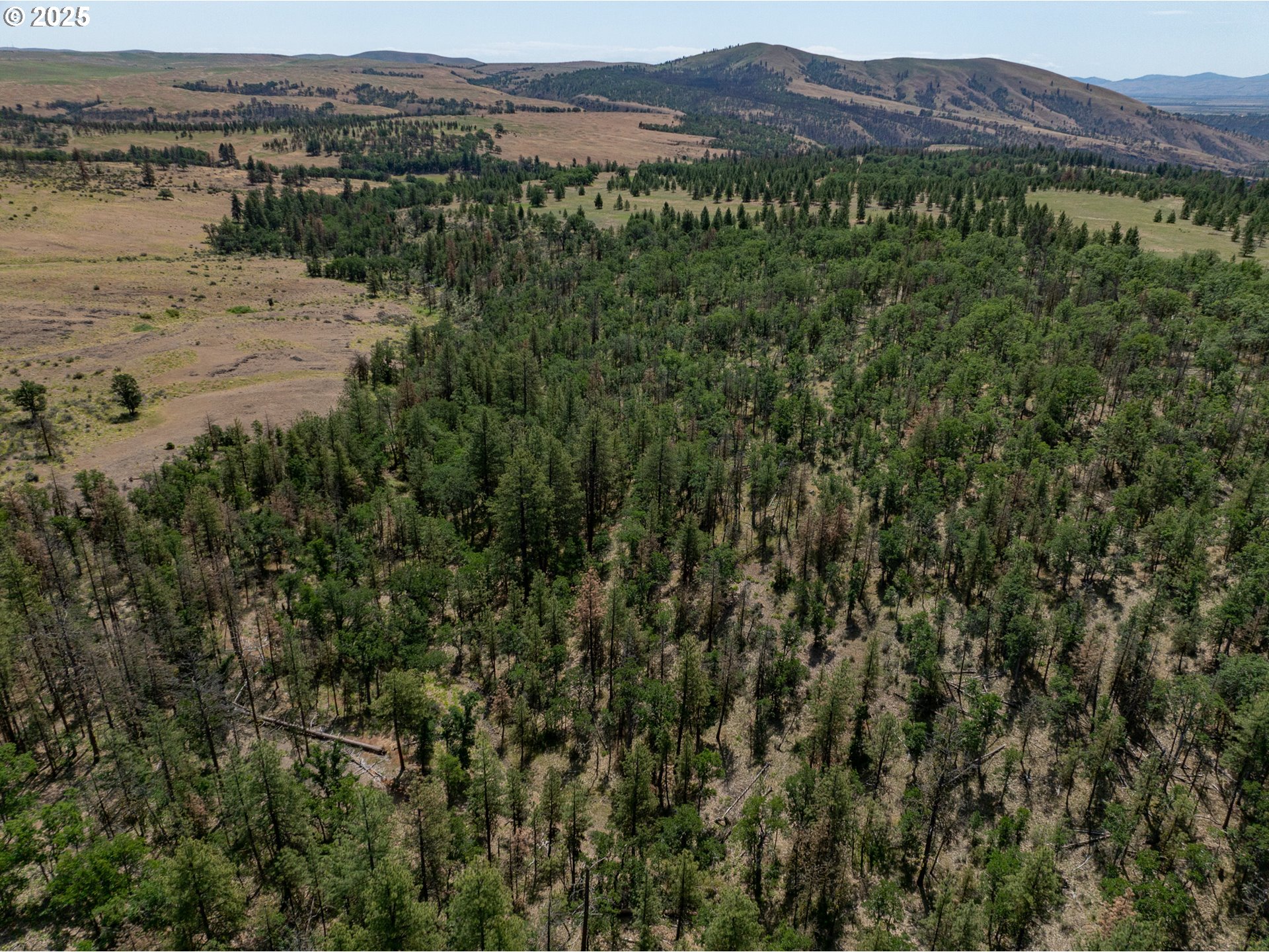 Friend Road Dufur, OR 97021 - Photo 4 of 32 a view of a lake with mountains in the background