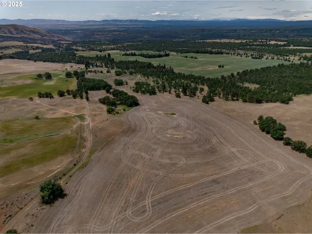 a view of a lake with a building in the background